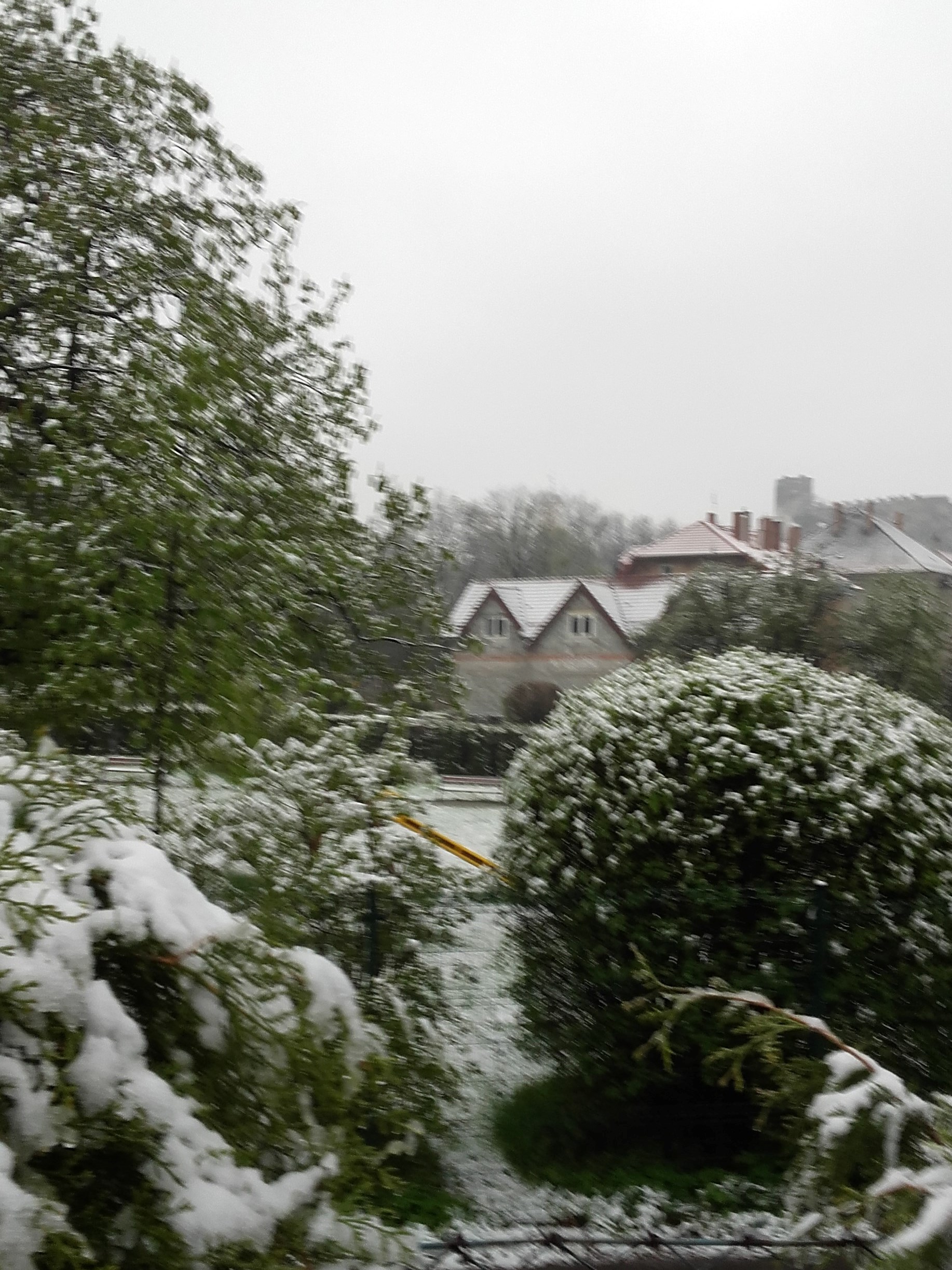 Schnee in Bolków am 28. April, im Hintergrund die das Stadtbild prägende Bolkoburg